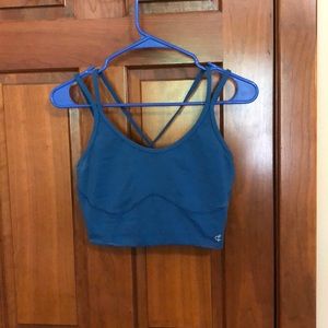 Crane & Lion Crop Workout Top